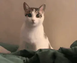 :Chat_dfg: