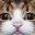 Photo de profil de AWette