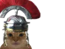 :mini_chat_romain: