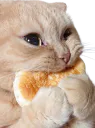 :Chatnom: