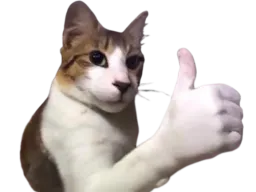 :chat_pouce: