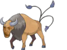 :Toros: