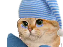 :chat_pleur_fatigue: