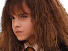:hermione_3: