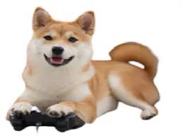 :shiba_: