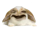 :Lapin_Belier_Content: