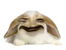 :Lapin_Belier_Content: