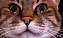 :ChatZoomTechno2:
