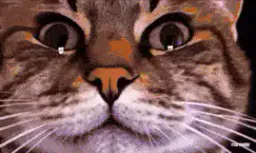 :ChatZoomTechno2: