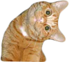 :chawat: