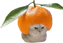 :chatbrushingclementine:
