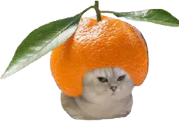 :chatbrushingclementine: