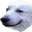 Photo de profil de LaBiteDuChien