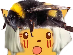 :pikabzzz: