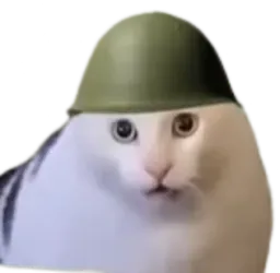 :Sergent_minou: