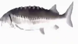 :Fished: