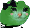 :Chat_fille: