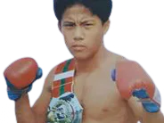 :Kongthoranee_Payakaroon: