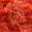 Photo de profil de LaSauceTomate