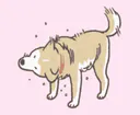 :chien_secoue: