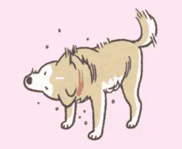 :chien_secoue: