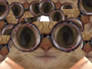 :chat_lunettes_stef: