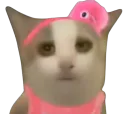 :OUAIII: