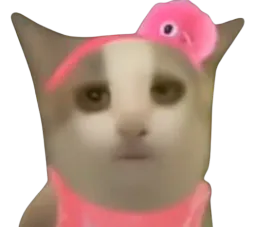 :OUAIII:
