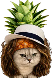 :chananas_cheveux_chapeau: