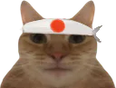 :Catmikaze: