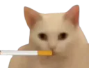 :HC_fumeur: