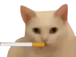 :HC_fumeur: