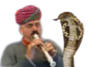 :risiflute_serpent: