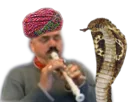 :risiflute_serpent: