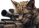 :Team_Chat_sniper_elite: