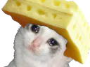 :chatriste_fromage: