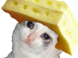 :chatriste_fromage: