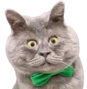 :chaboule: