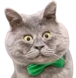 :chaboule: