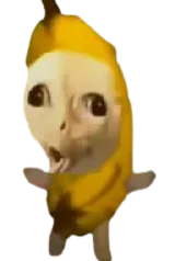 :zepavrai: