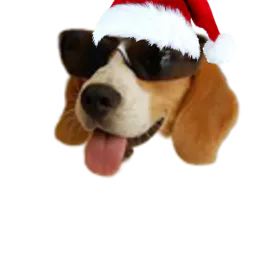 :Chien_noel: