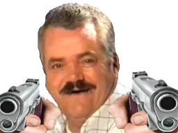 :risidoubleguns: