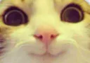 :Marrant_zoom: