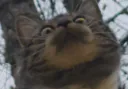:chat_wtf: