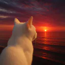 :chattristesoleil: