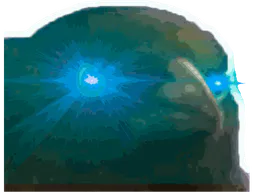 :Corbeau_3: