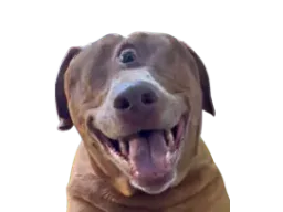 :teddicyclope: