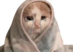 :chat_tristoune: