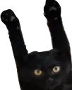 :ohmaiscpasvrai: