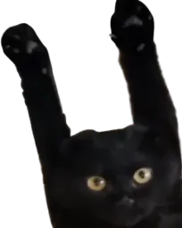 :ohmaiscpasvrai: